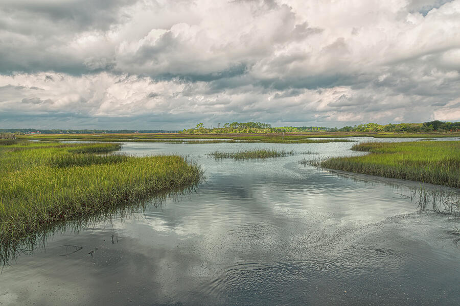 Wetlands Wonder Photograph by John M Bailey