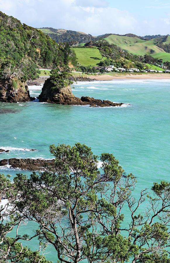 Whale Bay Matapouri NZ Photograph by John Marr - Fine Art America