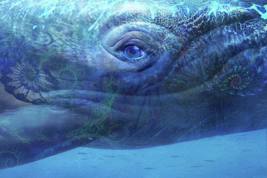 Whale Eye Digital Art by Jean-Luc Bozzoli