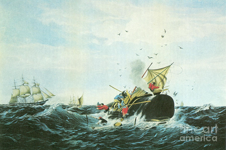 Whale Fishery Drawing by Currier and Ives