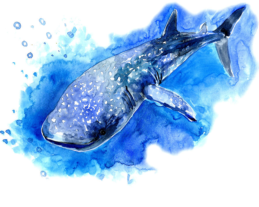 Sea World Painting - Whale Shark by Suren Nersisyan