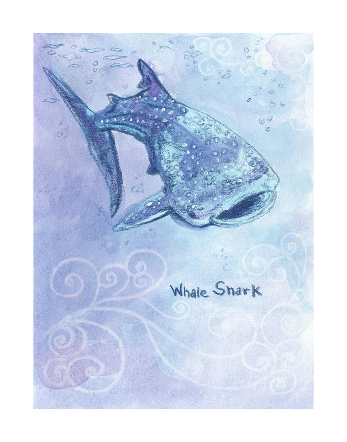 Whale Shark Zooly 2019 Drawing