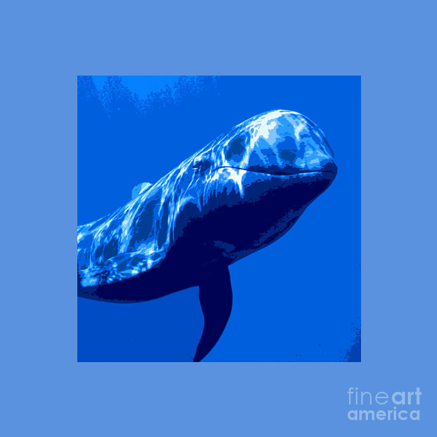 Whale Smiling Drawing by Rahmi Pudjiastuti - Fine Art America