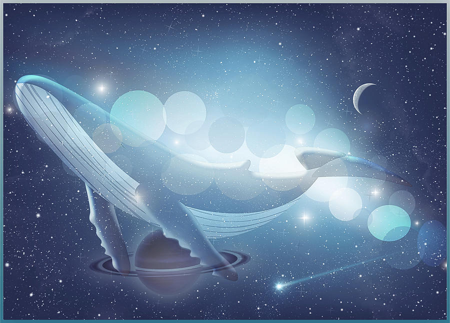 Whale song Digital Art by Harald Dastis
