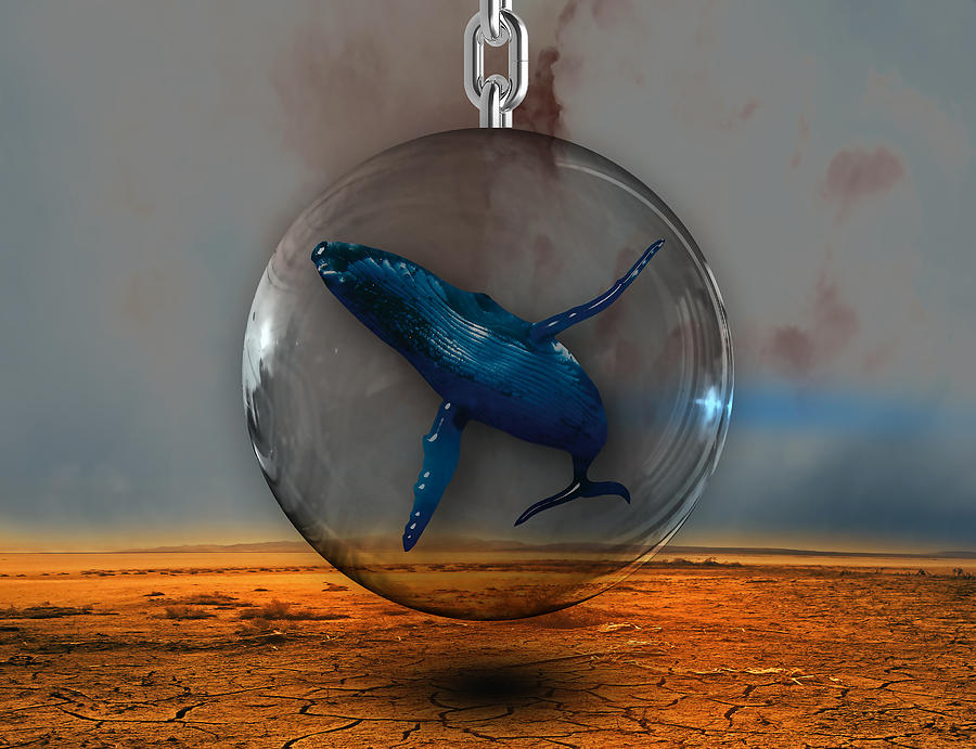 Whales Mixed Media - Whale Story 2 by Marvin Blaine Whales Mixed Media - Whale Story 2 by Marvin Blaine