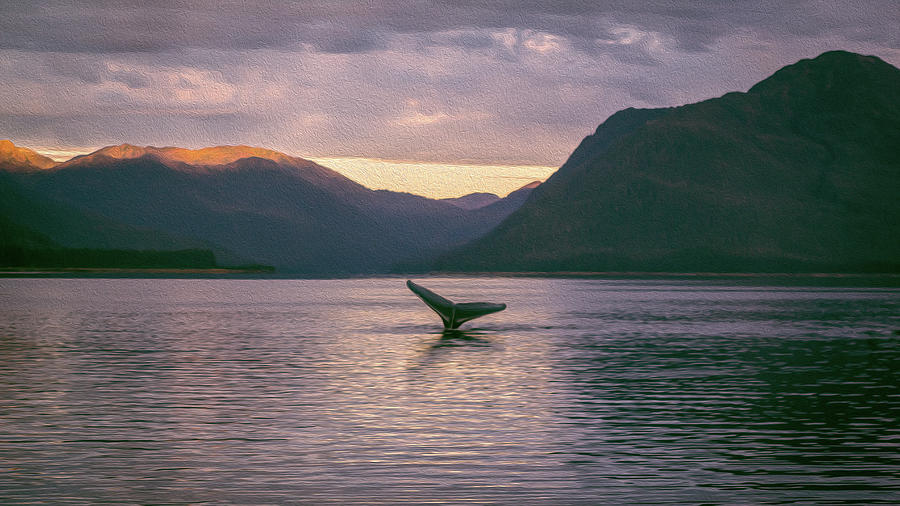 Whale Tail Alaska Photograph by Nicholas McCabe