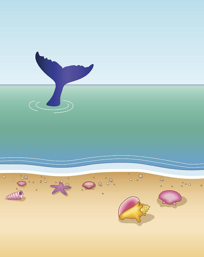 Whale Tail Seen From A Tropical Beach Vertical In Color Drawing by Kathykonkle