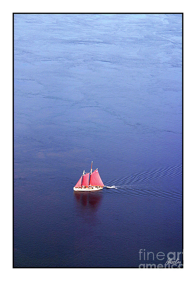 Whale Watching on the SchoonerSylvina W. Beal Photograph by Art MacKay