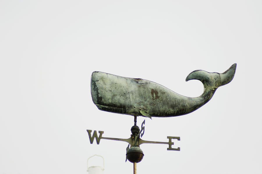 Whale weather vane Photograph by Wataru Yanagida