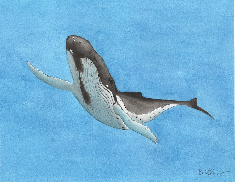 Whale in Blue Painting by Bob Labno
