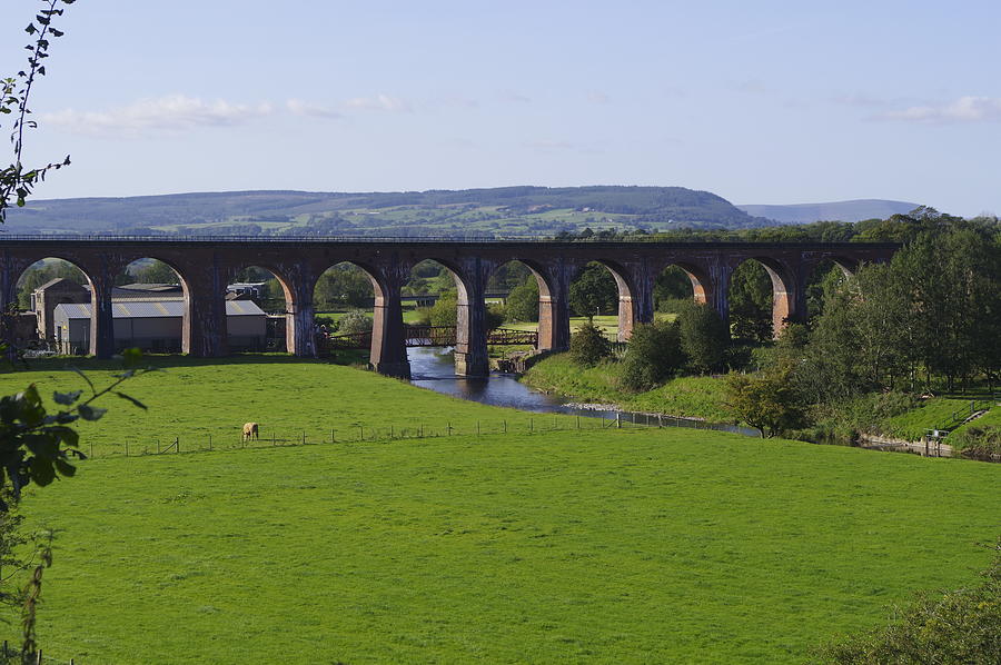Whalley Viaduct - Lancashire Photograph by Murray Croft