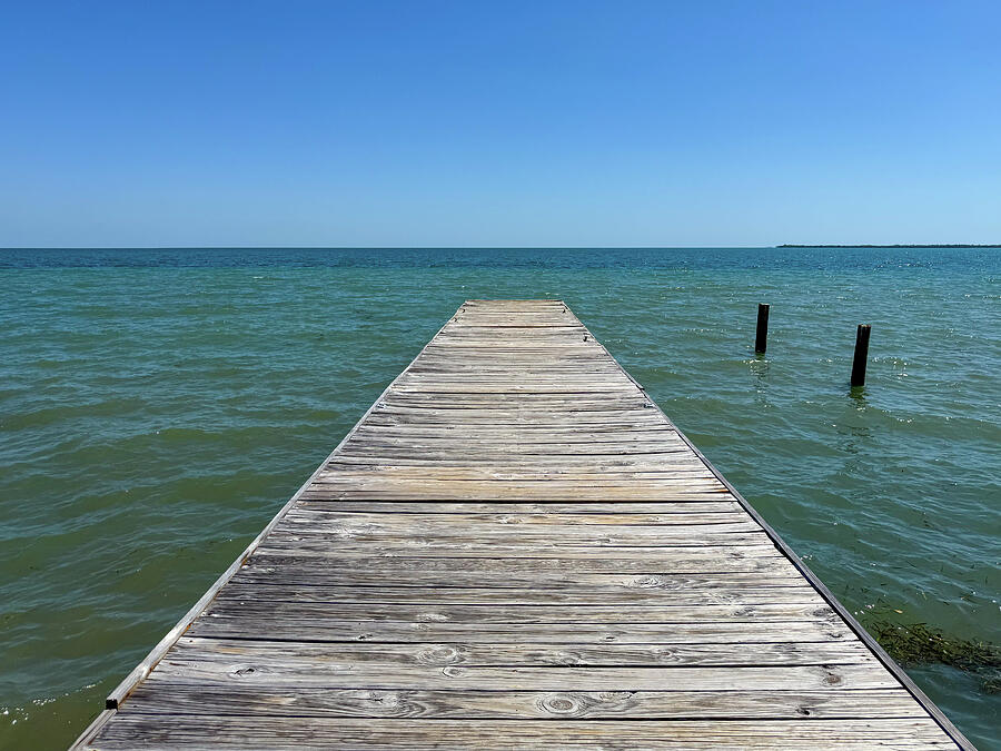 Pier Photograph - Point of View by Joy McAdams