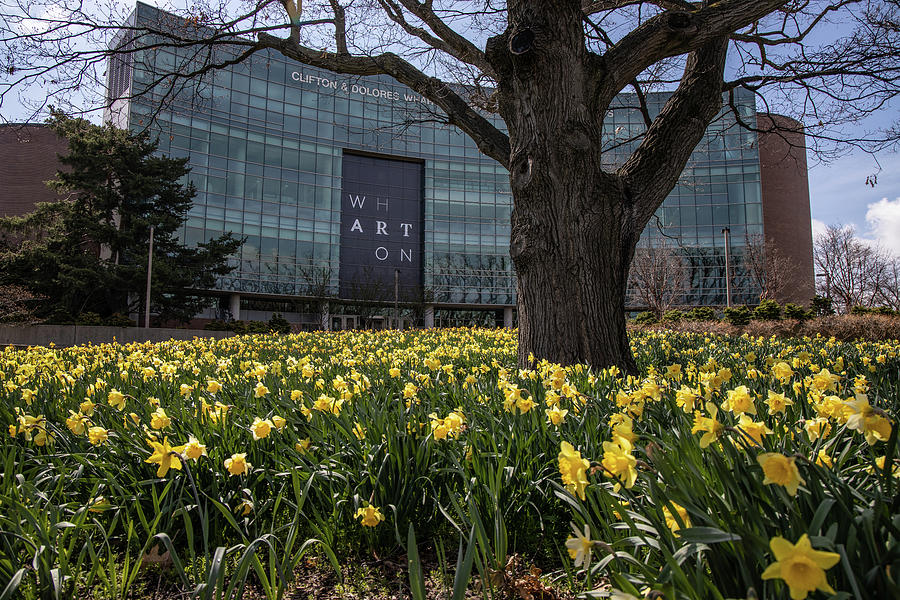Wharton Center in Spring  Photograph by John McGraw