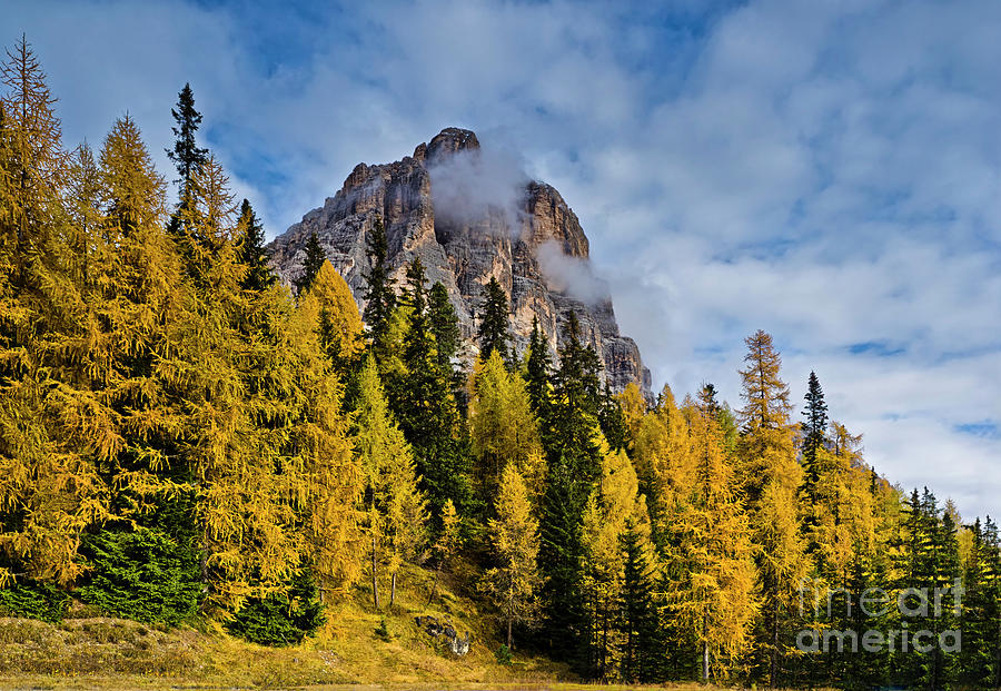 What A Outstanding Beauty- Golden Autumn In Dolomites Bold Mountains Italy- Regole Dampresso Photograph by Tatiana Bogracheva