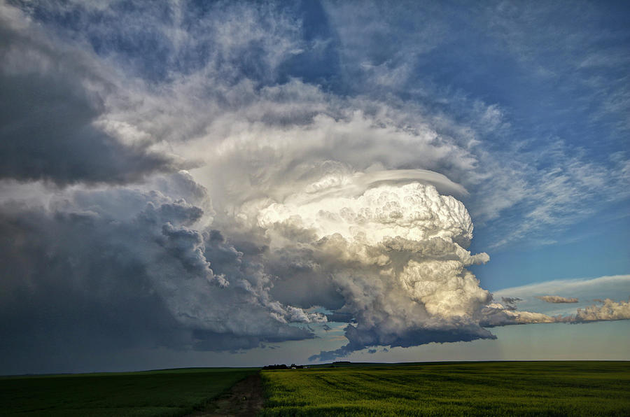 What A Prairie View Photograph by Ryan Crouse