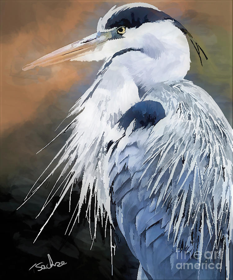 What, Another Blue Heron Digital Art by Tom Sachse - Fine Art America