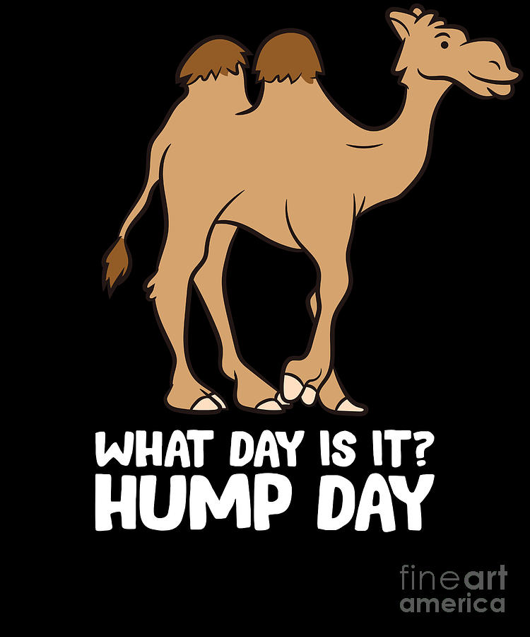 what-day-is-it-hump-day-funny-camels-hump-day-digital-art-by-eq-designs