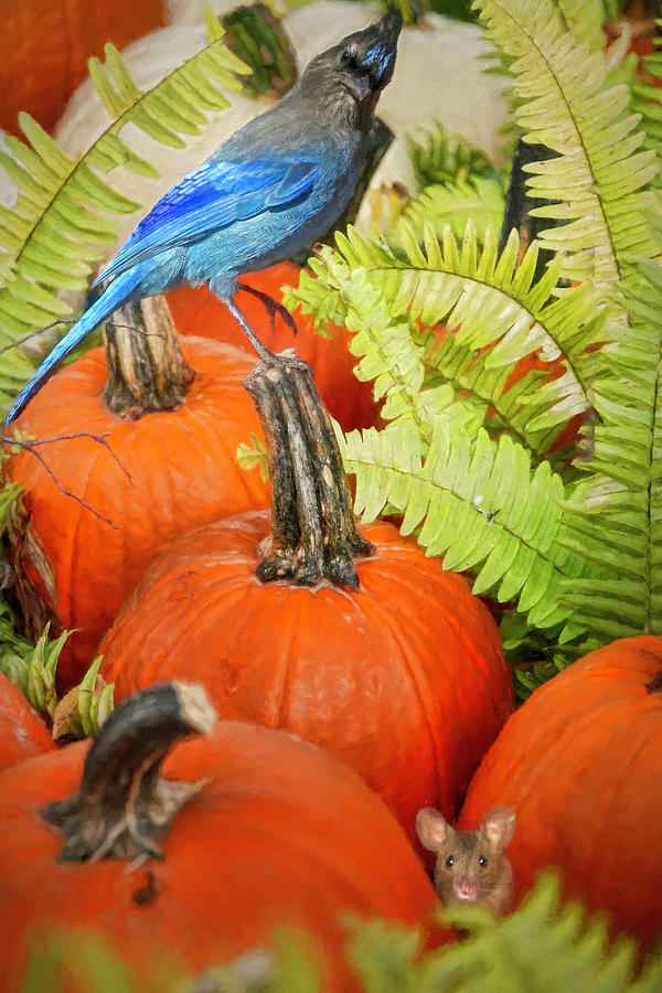 What Do I See in the Pumpkin Patch  ? Photograph by Donna Kennedy