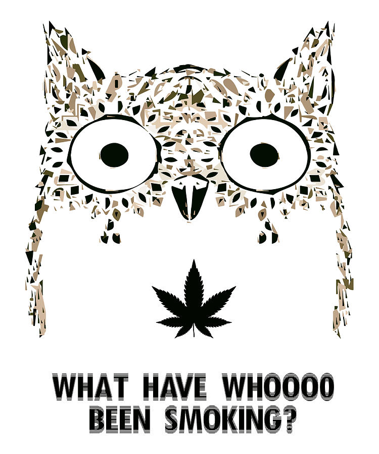 What Have Whoo Been Smoking Funny Weed Stoner Owl Digital Art by CalNyto -  Pixels