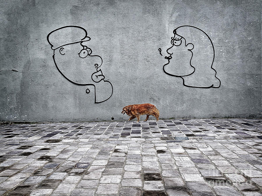 What is going wrong?dog was walking along the wall with Wall art Paris France Photograph by Tatiana Bogracheva