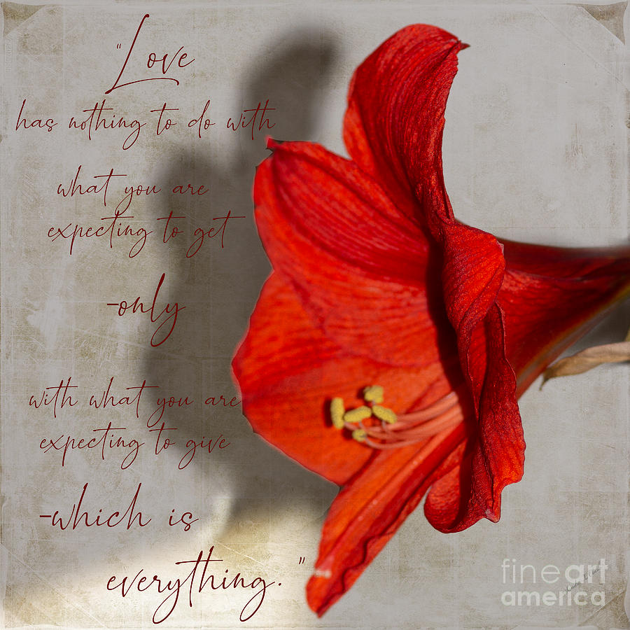 What Love has to Do with Photograph by Sandra Clark - Fine Art America