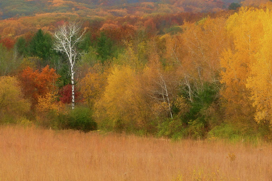 Autumn Photograph - What my mind saaw and my heart felt by Paul Malen Autumn Photograph - What my mind saaw and my heart felt by Paul Malen