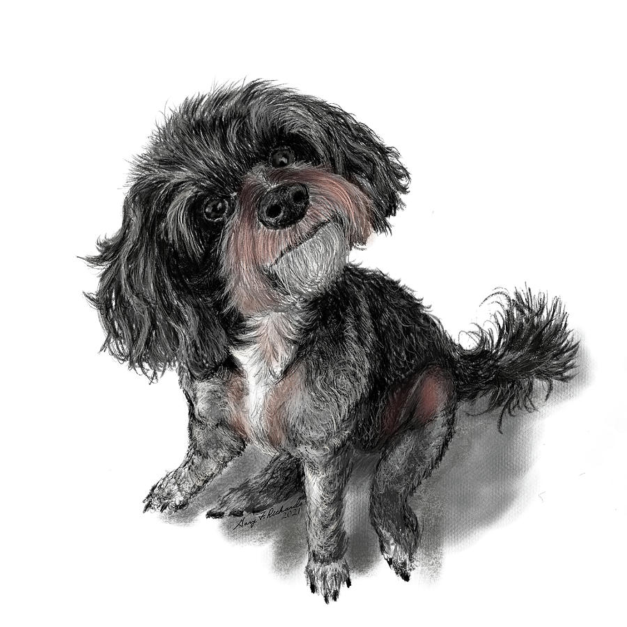 Portrait Drawing - What, No Treats? On White by Gary F Richards