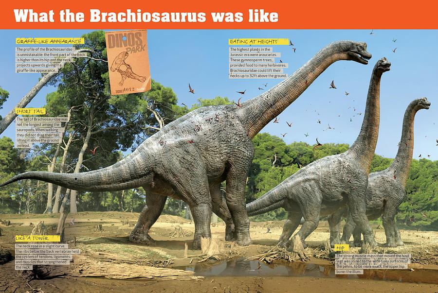 What the Brachiosaurus was like Digital Art by Album