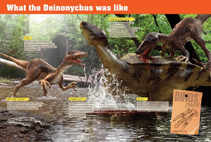 Deinonychus VS Raptor