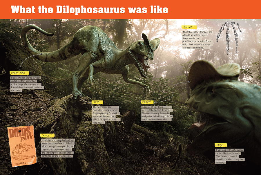 What the Dilophosaurus was like Digital Art by Album
