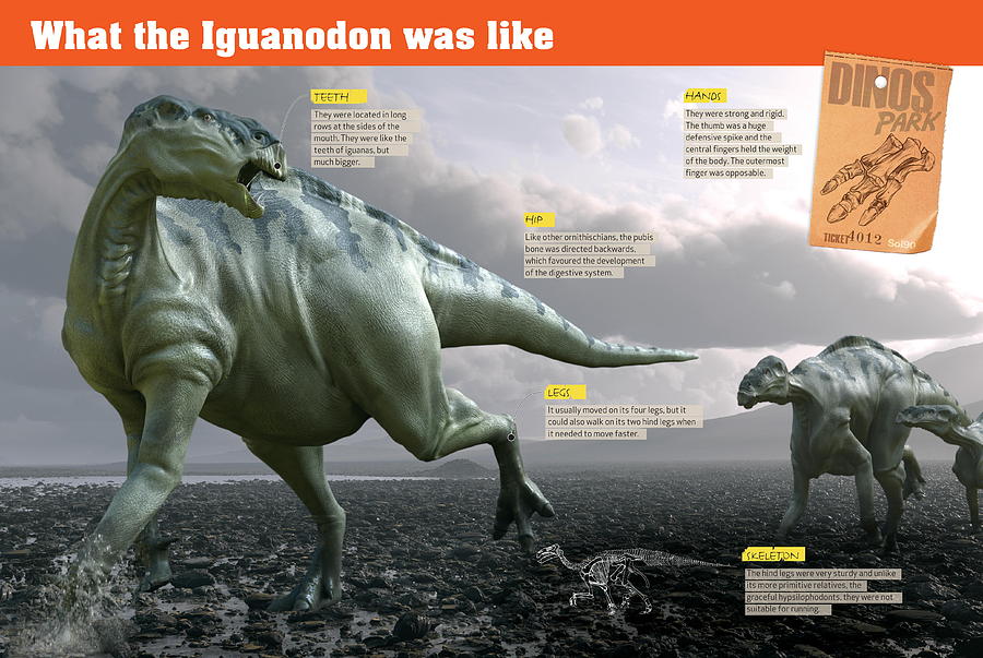 What the Iguanodon was like Digital Art by Album