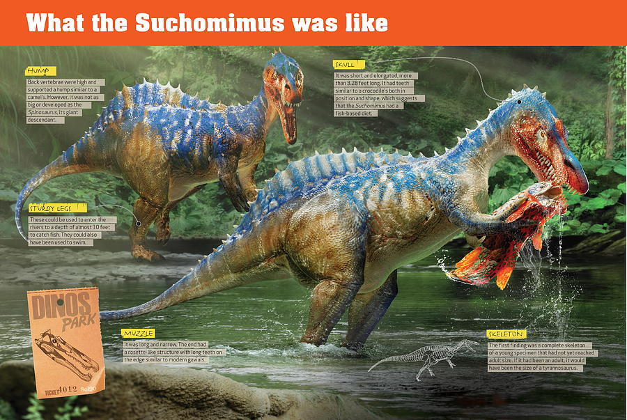 What the Suchomimus was like Digital Art by Album