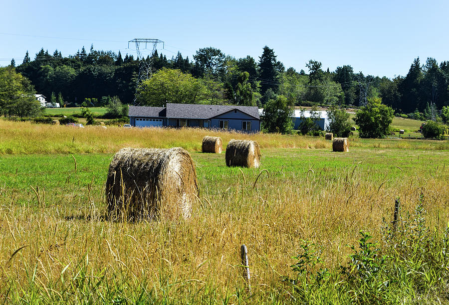 Whatcom County Hay Bales Photograph by Tom Cochran