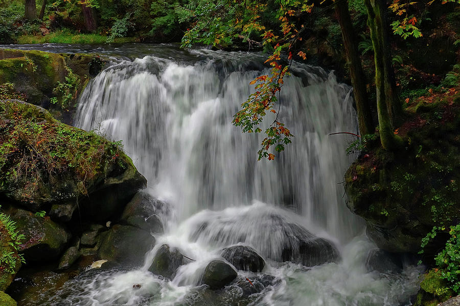 Whatcom Falls Fall Photograph by Rick Lawler