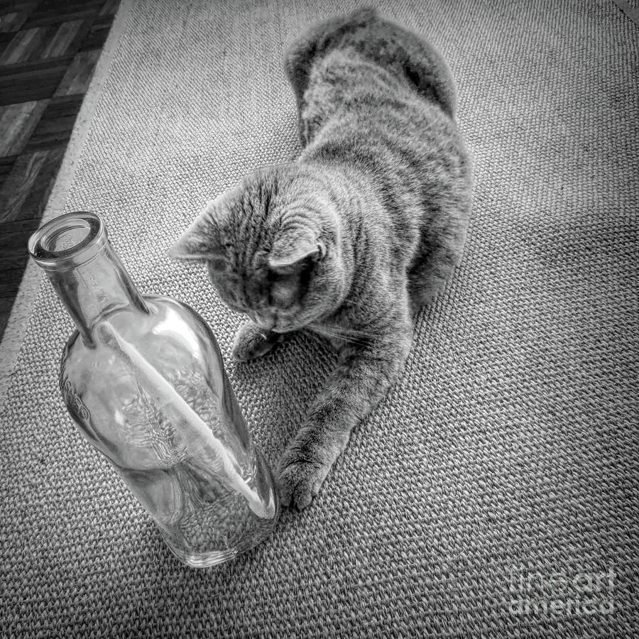 What's in the Bottle Photograph by Elisabeth Lucas | Fine Art America