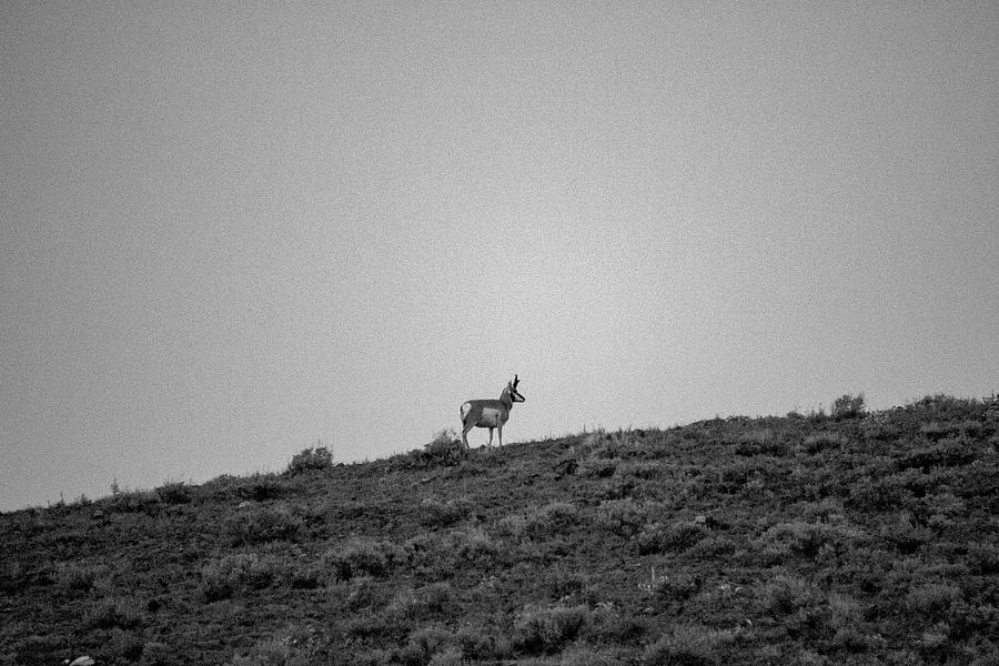 What's on the other side Photograph by Christian Schroeder | Pixels