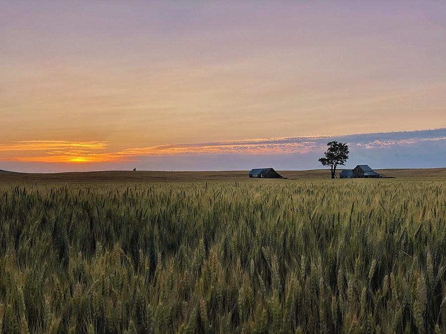 Wheat Country Sunset Photograph by Jerry Abbott