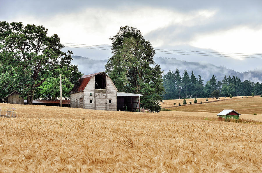 Wheat Farm - Sheridan - Oregon Photograph by Jack Andreasen | Fine Art ...