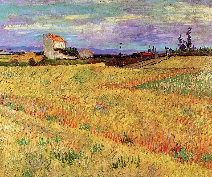 Wheat Field - Vincent van Gogh Painting by Vincent van Gogh - Fine Art ...