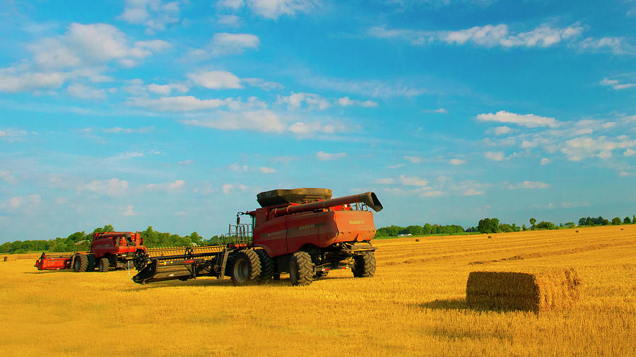 Wheat field-wheat straw harvest-Farm Equipment-Fulton County Ind ...