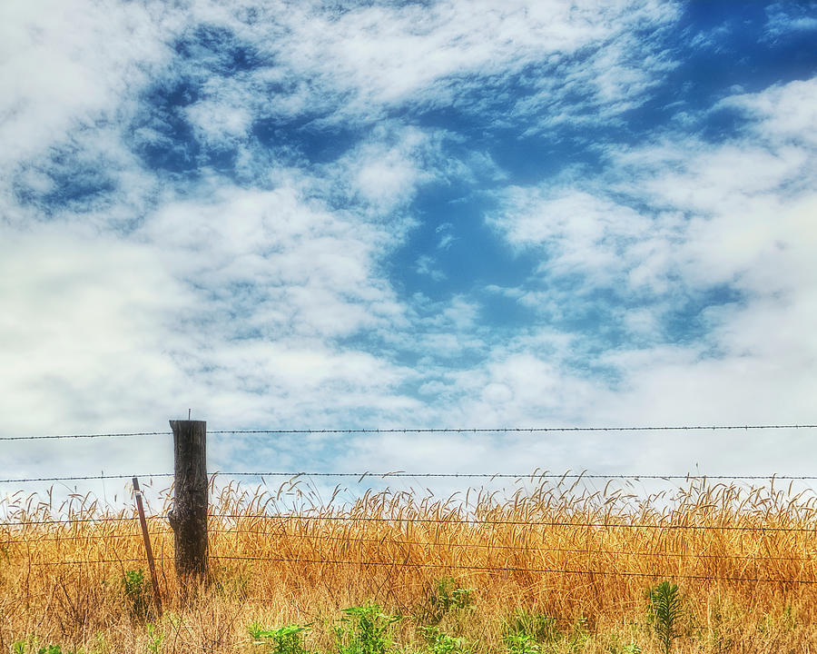 Wheat Field With Barbed Wire Fence - photograph Photograph by Ann Powell