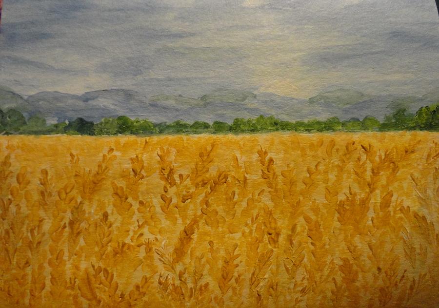 Wheat Fields Ready To Harvest Painting by Rosie Foshee