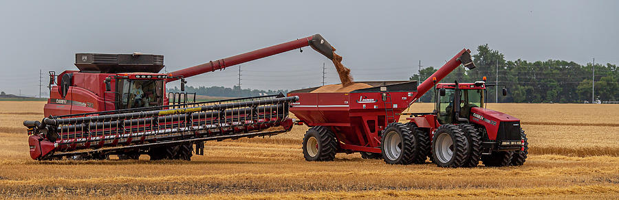 Summer Photograph - Wheat Harvest 112023 by Paul Freidlund