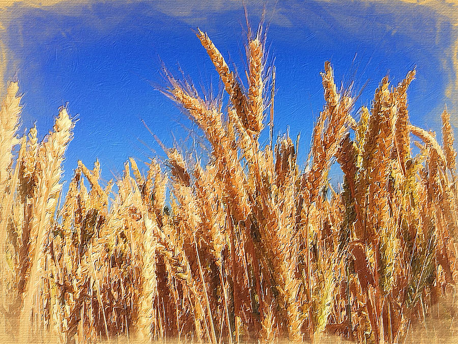 Wheat Painting by Tony Rubino
