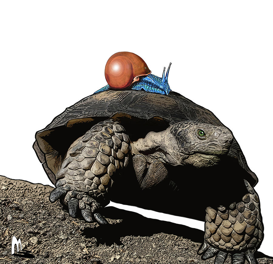 Tortoise Digital Art - Wheeeeeee by Mark Baker