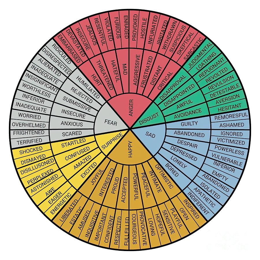 Wheel Of Emotions Painting by Francesca Kieran - Pixels