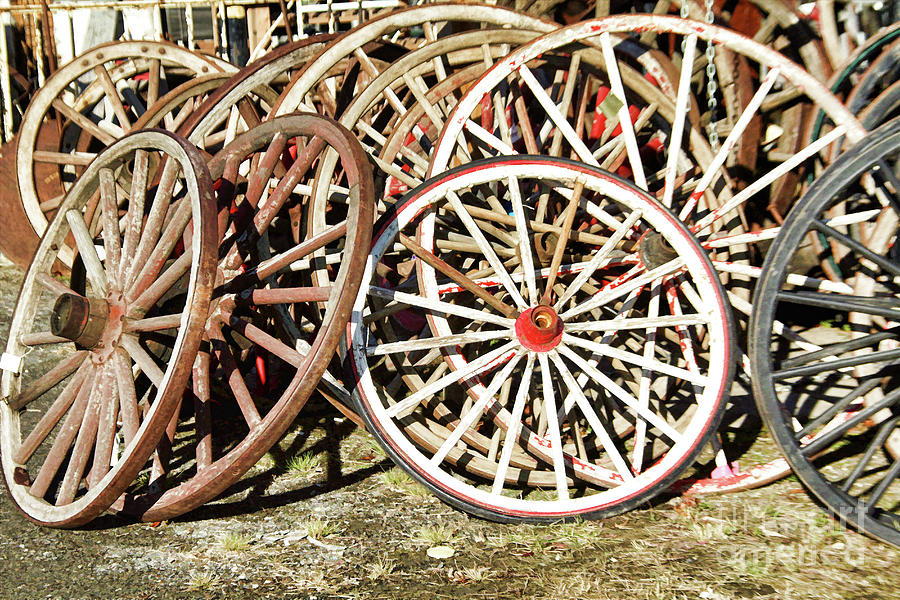 Wheels in waiting Photograph by Roland Stanke