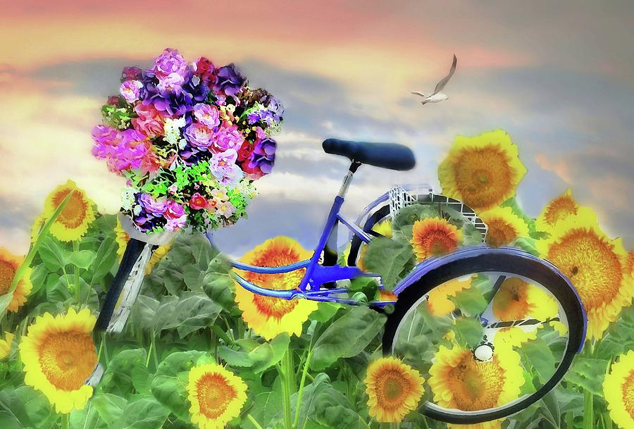 Wheels of Nature Photograph by Diana Angstadt
