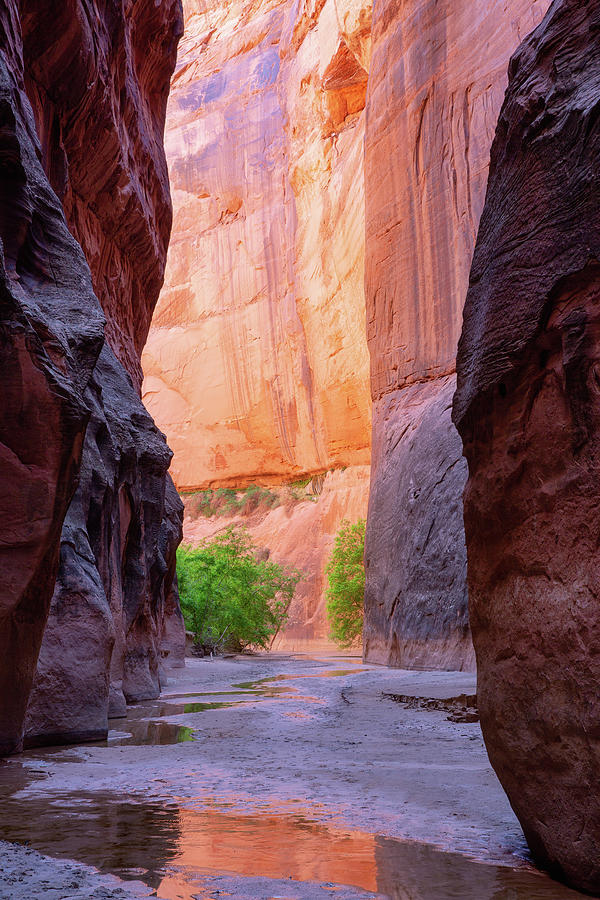 When a canyon lit with reflected light Photograph by Alex Mironyuk