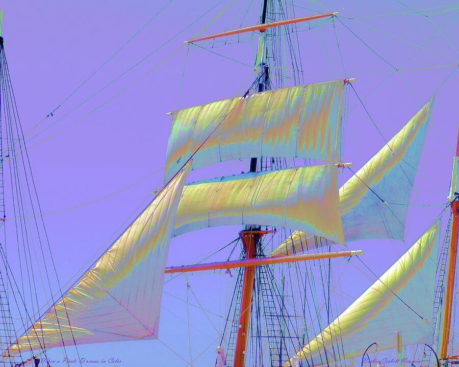 When A Pirate Dreams in Color Photograph by Barbie Corbett-Newmin